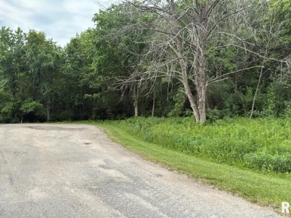 216 Ridgewood Ct, Dahinda, IL 61428