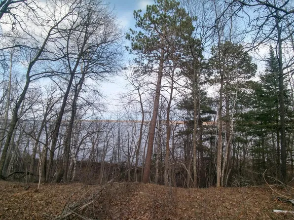 50126 County Road 29, Bemidji, MN 56601