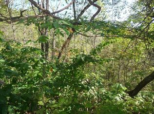 291 Allenwood Dr, Surgoinsville, TN 37873