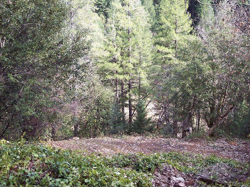 2nd image of 2007 Avenue J