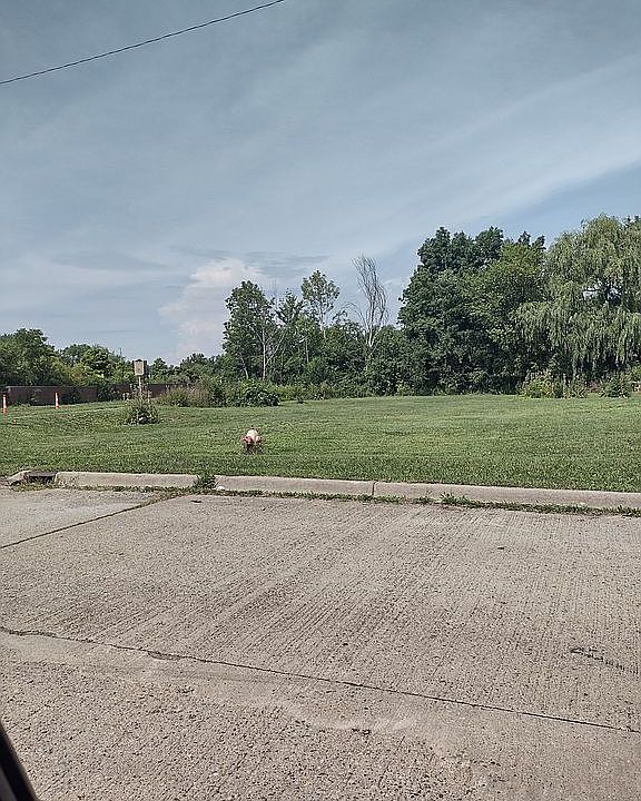 2nd image of EAST Cornell Ave