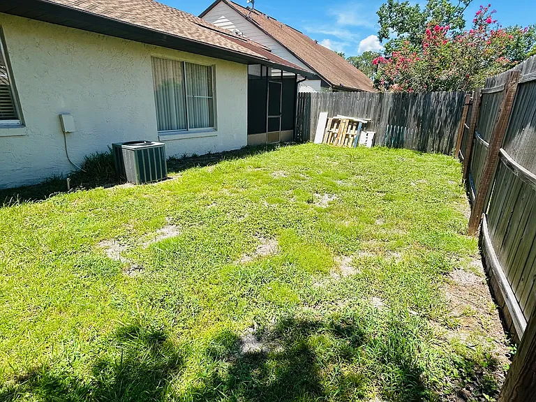 Backyard