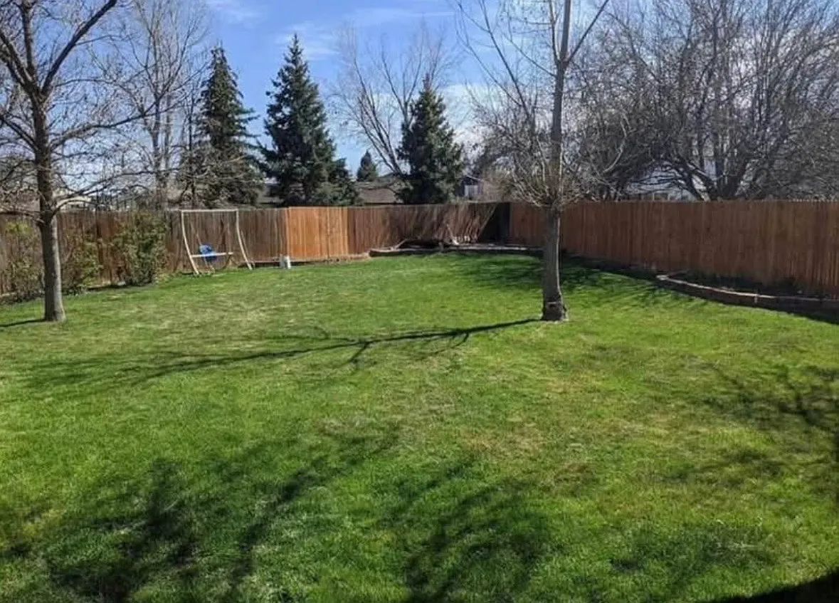 1 bed, 750 sqft, $1,300 — Photo 2