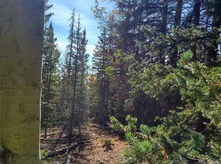 298 Starkweather Rd, Fort Garland, CO 81133