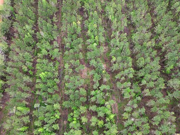 Dji Fly 20260406 113302 595 1775489908344 Photo Optimized