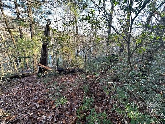5th image of LOT 34 Clear Creek Trl