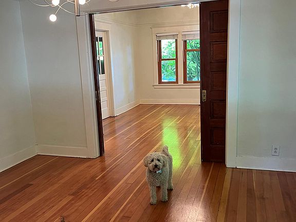 View from dining room. Living room has three oversized windows, (new, double pane tilt in) with greenery views. Hard wood floors and designer lighting, and Farrow and Ball paint.