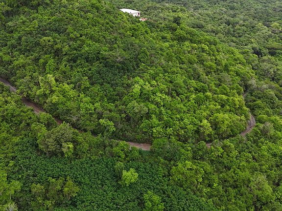 3rd image of 11 Orange Grove WE