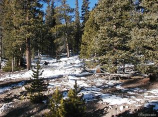 577 Bobcat Ln, Fairplay, CO 80440