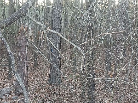 4th image of 90 Harville Rd