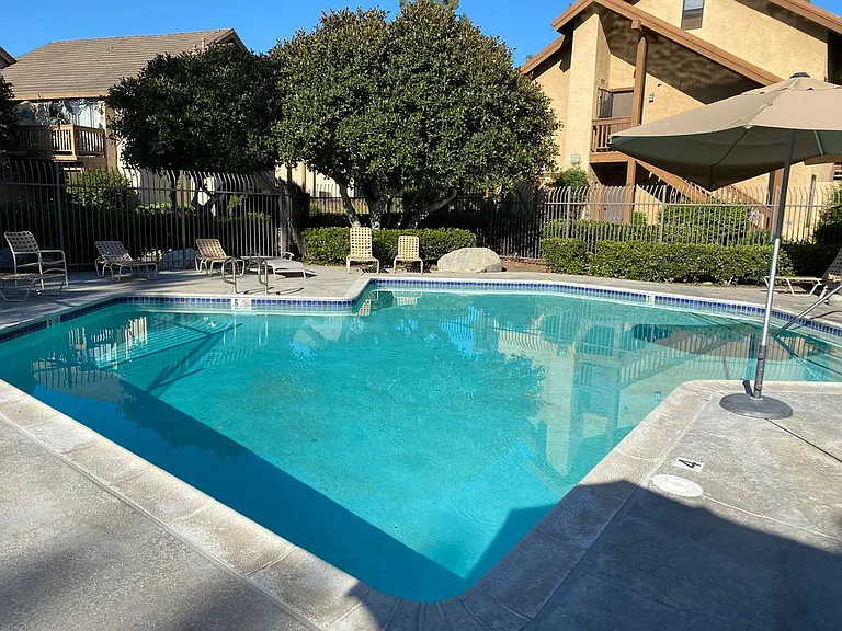 23 Tangelo — Photo 19