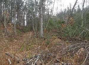 1st image of 47 Country Cove Ct