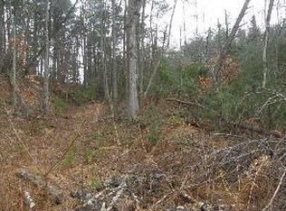 47 Country Cove Ct, Leicester, NC 28748