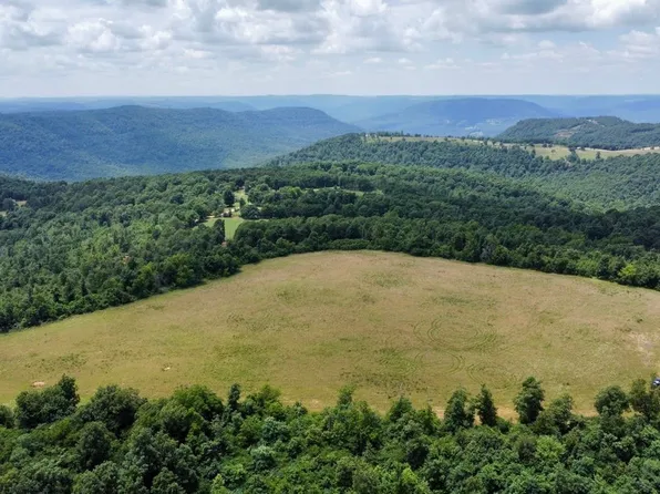 8374 Newton County Rd, Jasper, AR 72641