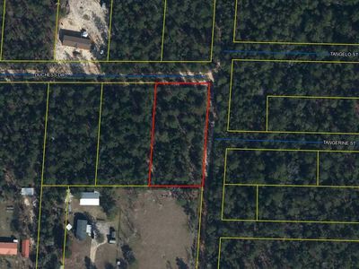 256 Duchess Dr, Defuniak Springs, FL, 32433