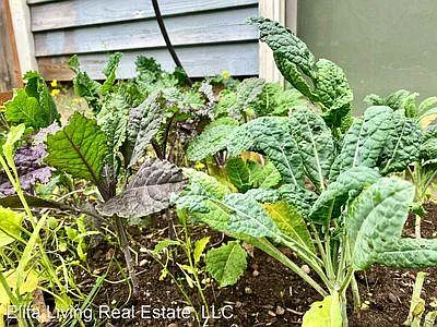 Large garden with space for vegetables.
