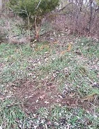 3rd image of 46264 320th Ave