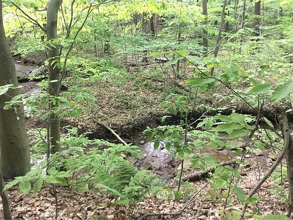 5th image of 12689 Route 259 Hwy