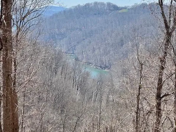 Jimmy Reneau Rd, Celina, TN 38551