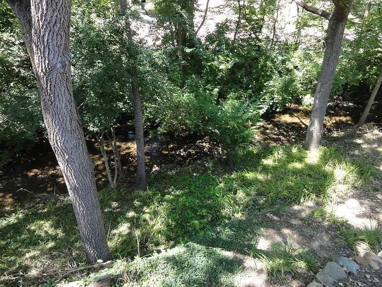 1541 Jones Dr #1541 — Photo 2