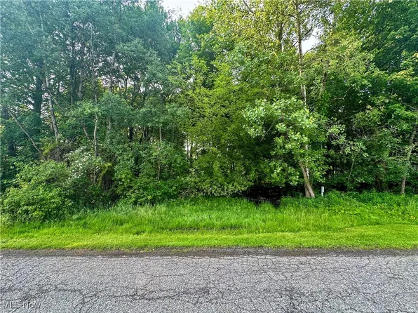 Powder Mill Run, Youngstown, OH 44505