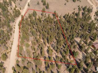 469 Ee Hill Dr, Twin Lakes, CO 81251