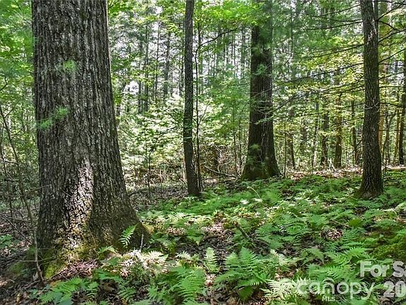 3rd image of 19 Laurel Loop Rd