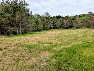 0 Two Mile Rd, Pt Allegany, PA, 16743