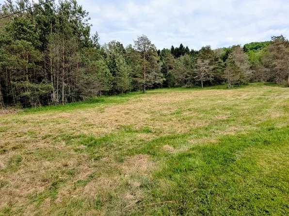 2 Two Mile Rd, Pt Allegany, PA 16743