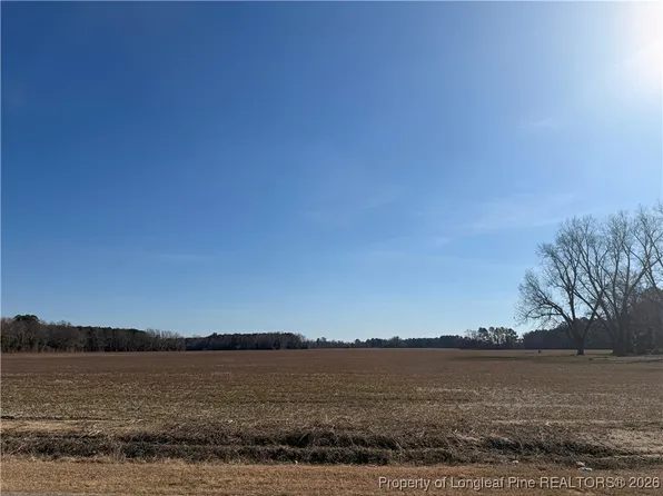 LOT Pleasant Hope Rd #C, Fairmont, NC 28340
