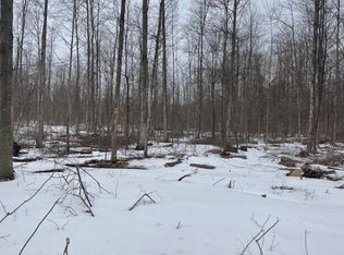 N Eight Mile Rd, Lake city, MI 49651