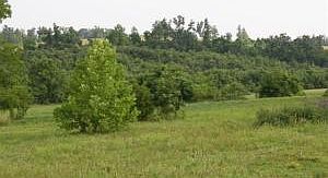 1st image of County Road 811 Foxwood Lot 17