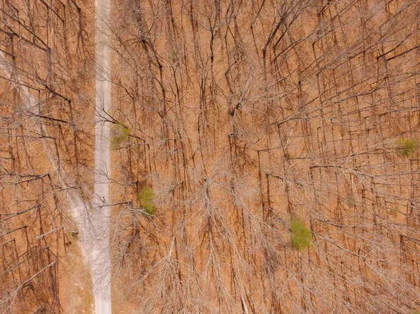 0 Westwind Way, Pikeville, TN 37367