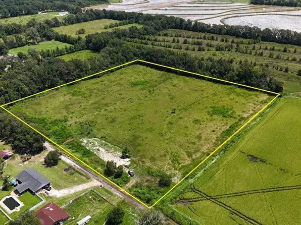 Ray Shuff Rd Lot Wp001, Elton, LA 70532