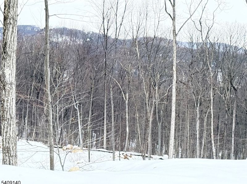 2nd image of 8 Bristol Ridge Rd