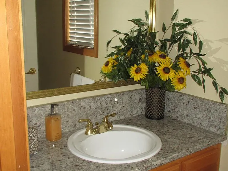 Downstairs 1/2 bathroom
