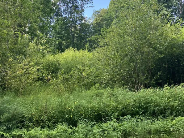 7 Verona Street, Northport, ME 04849