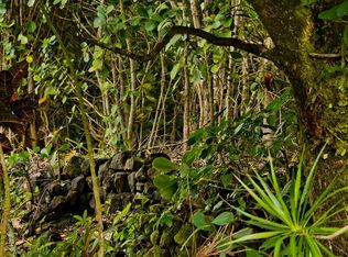 Pilikai Rd LOT 275, Keaau, HI 96749