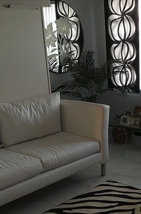 Custom Murphy bed/sofa 