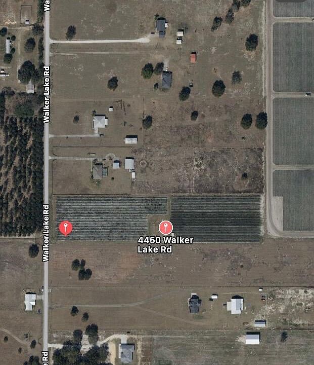 2nd image of 4450 Walker Lake Road