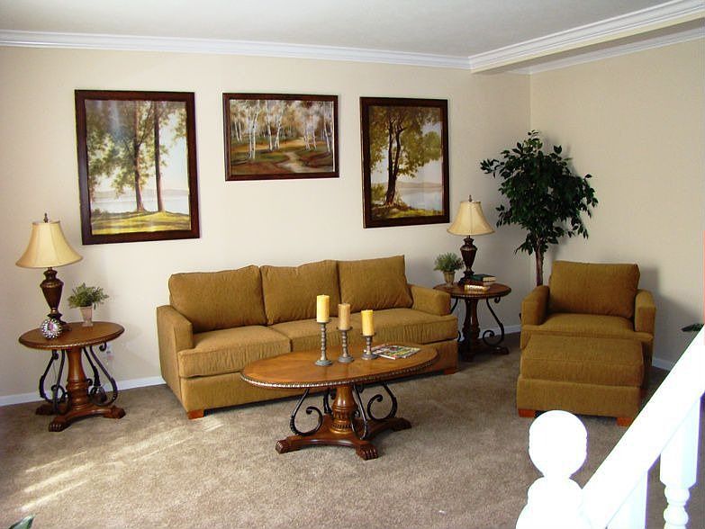 Lvg Room Crown Molding, 9' Ceilings, More!