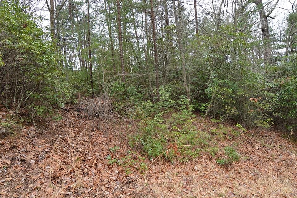 1st image of 14 Cook Dr