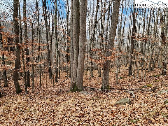 2nd image of 105 W Blueberry Lane