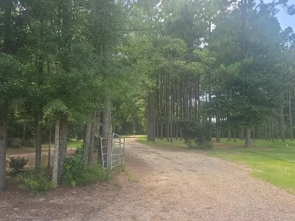 55447 Kemp Ln, Independence, LA 70443