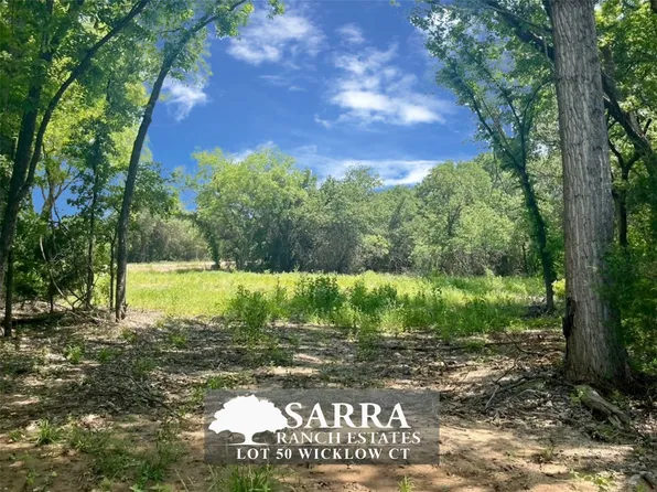 50 Wicklow Ct, Poolville, TX 76487