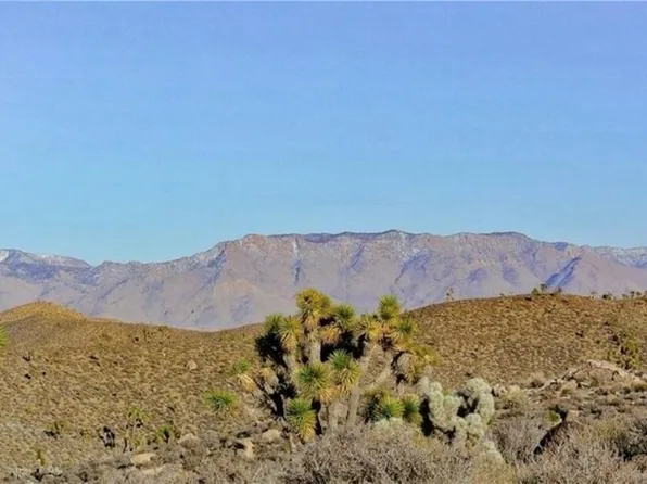 XXXXX W 15th Street #-, Dolan Springs, AZ 86441