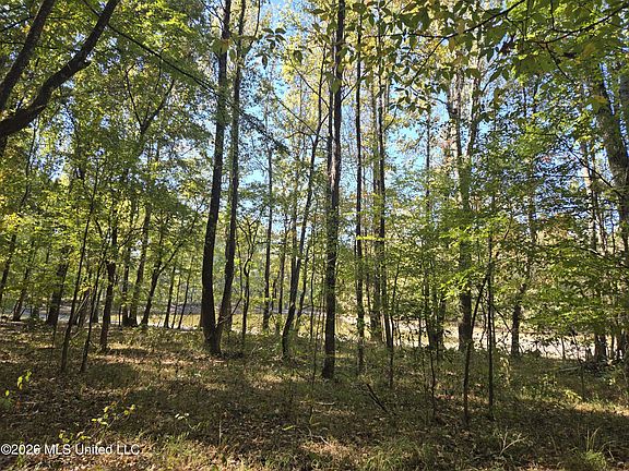 5th image of 10177 Parks Place Rd