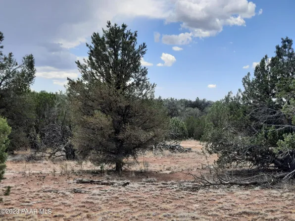 54477 N Shadow Mountain Cir, Seligman, AZ 86337