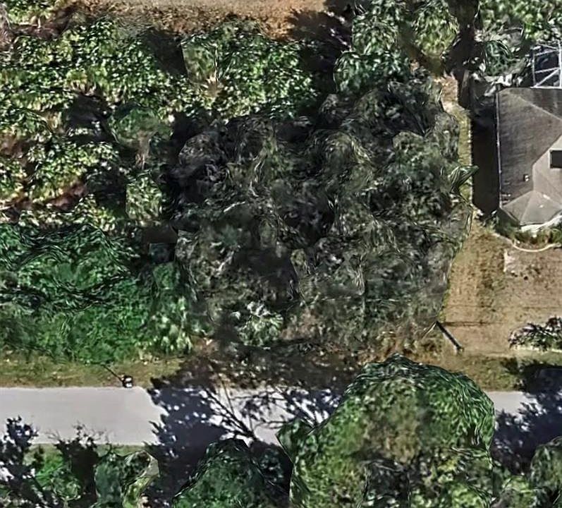 1st image of 8536 Raoul AVE