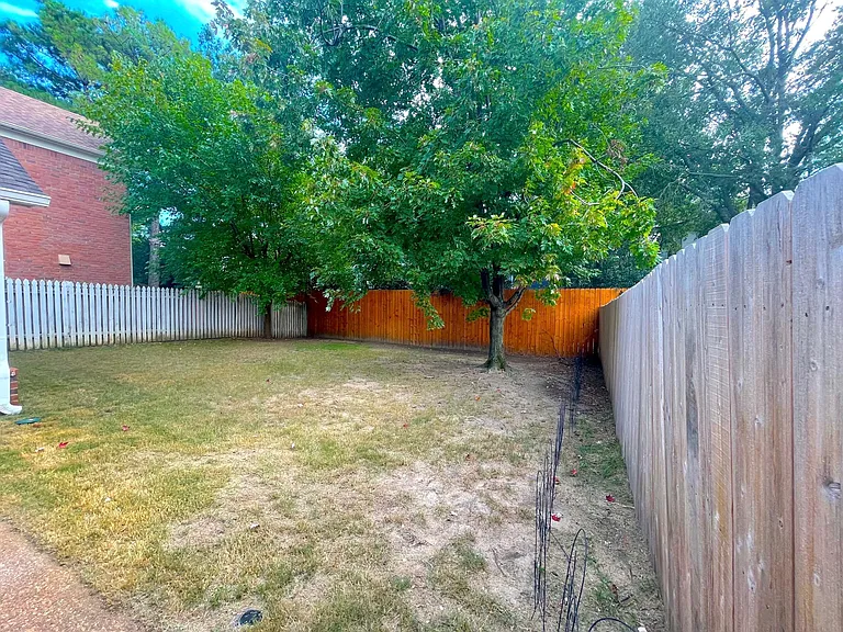 Fenced in backyard